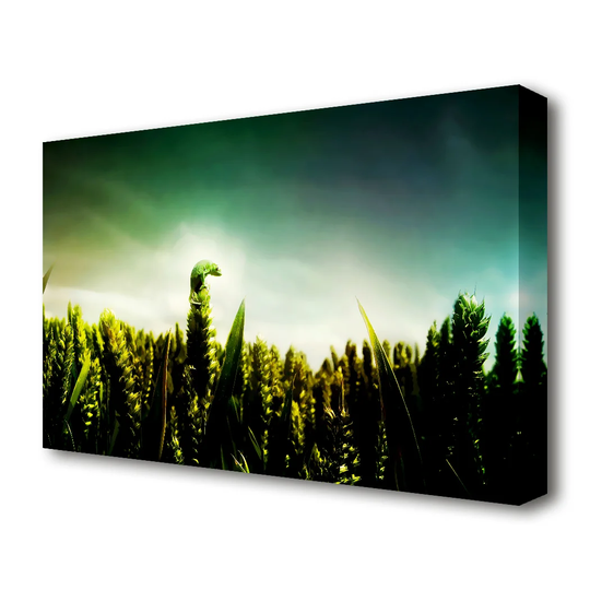 'Lizard Perch Wildlife' Photographic Print on Canvas