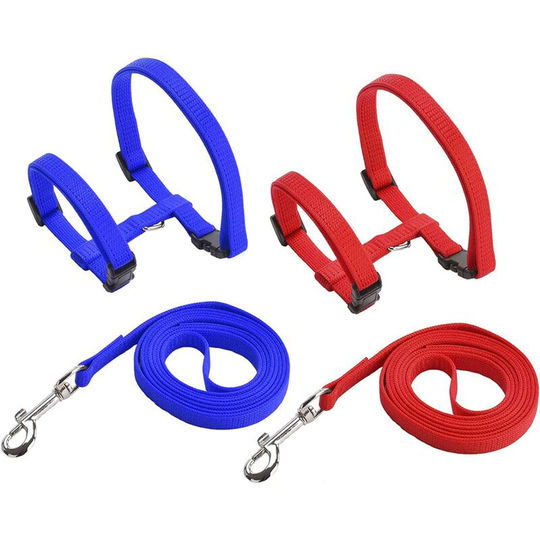 Modou - Kitten Harness Rabbit Harness Kitten Leash Rabbit Leash Adjustable Pet Harness Cat Leash Small Animal Leashes Rabbit Harness Rabbit Collar