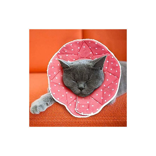 Pet Cat Flap 4-Way Locking Cat Flap Interior and Exterior Doors