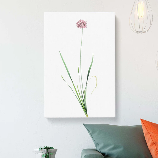 Mouse Garlic Flower by Pierre-Joseph Redoute - Wrapped Canvas Painting Print