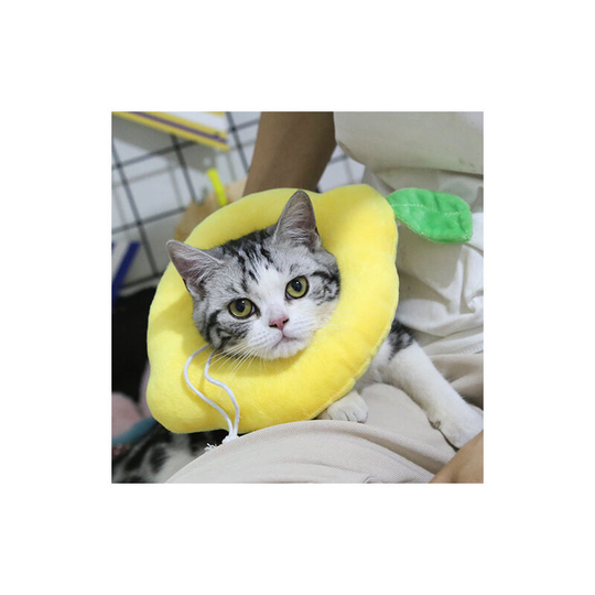 Bette Pet Recovery for Cat, Adjustable Pet Protection Collar for Anti-Bite Pets Soft Cute Cat Collar Hood