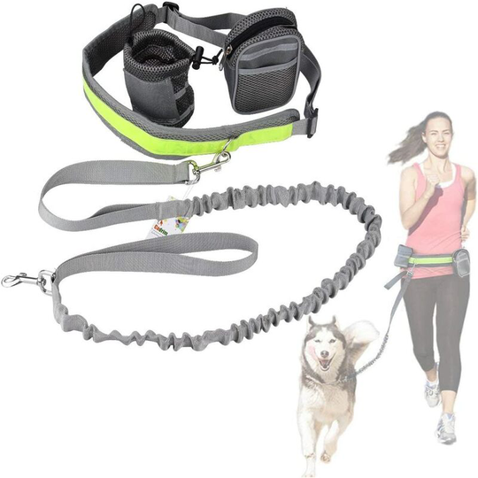 Running Dog Leash Kit Ideal for Running, Jogging and Walking - Hands Free Leash