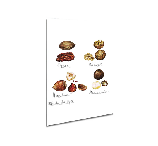 Nut Selection 1 Metal Print