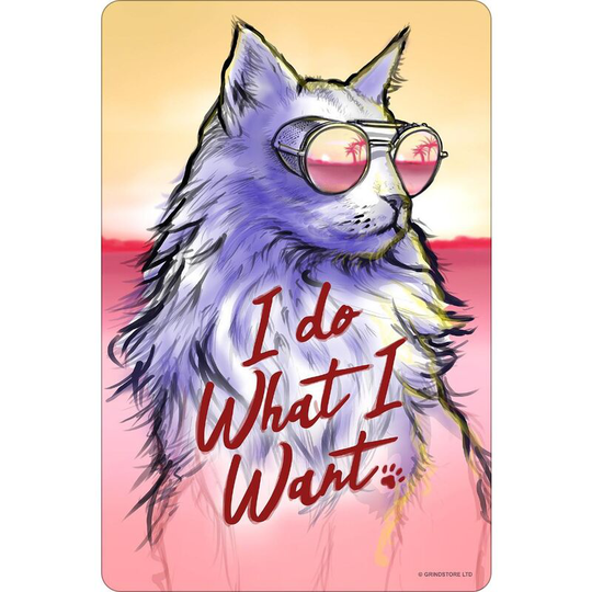 Sunset Kitten Plaque (One Size) (Yellow/Light Red/Purple) - Yellow/Light Red/Purple - Grindstore