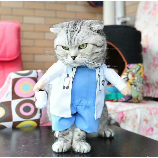 Pet Supplies Dog Clothes, Doctors Stand Up And Turn Into Funny Outfits In l Size (style 2)