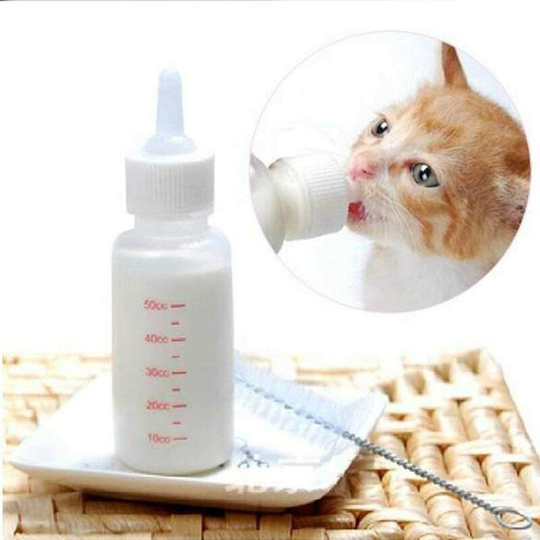 Baby bottle breastfeeding kit dog, cat, rabbit - pacifier and cleaning pin - 50 ml