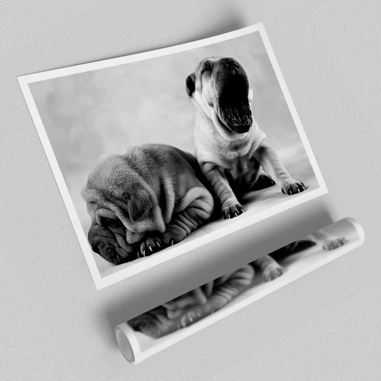 Wrinkly Tired Puppies - Photograph Print on Paper