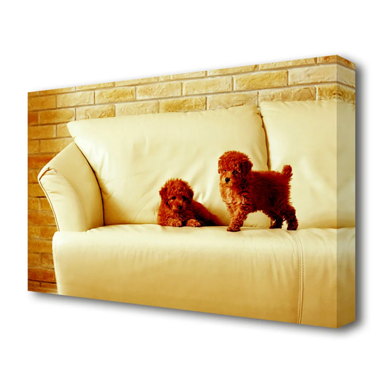 Naughty Puppy Fun Wildlife - Wrapped Canvas Photograph Print