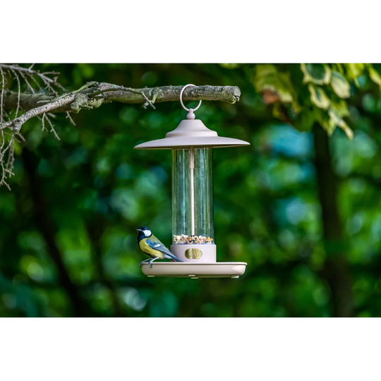 Larch Tube Bird Feeder