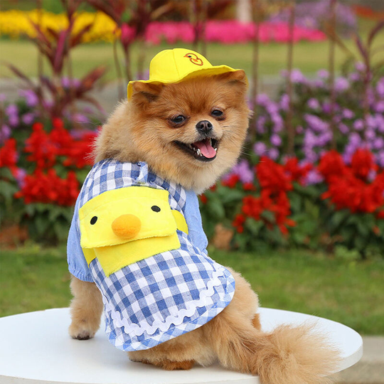 Dog Shirt Pet Plaid Shirts Pet Summer Clothes for Puppy Dogs Duck Cartoon Backpack with Yellow Hat,model:Blue m - model:Blue m