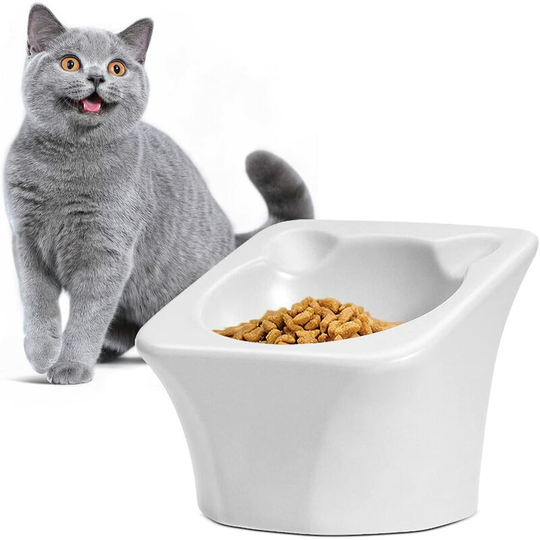 Monly - Ceramic Feeding and Water Bowl, Raised Tilted Cat Bowl, Non-Slip Feeding and Water Bowl - White