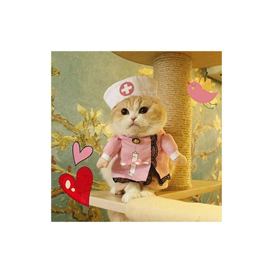 Costume pet dog cat cosplay nurse policeman hat for Sui Halloween Christmas party l style 3