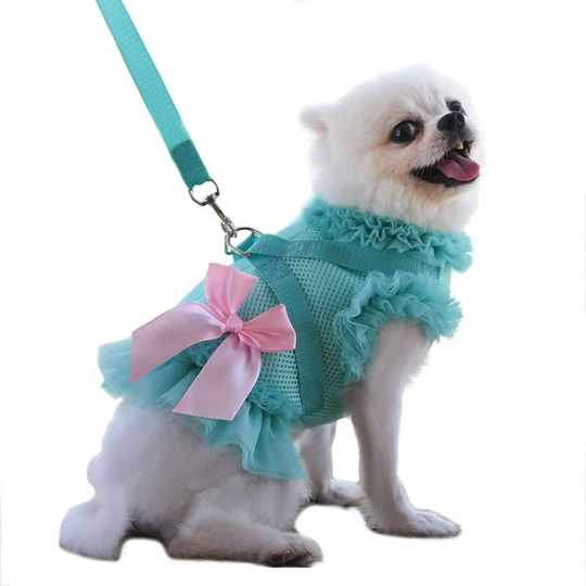 Bbeart Pet Clothes, Dog Harness Leash Set Puppy Princess Dress with Bowknot No Pull Harness for Small Dog Cat (xs, Green)