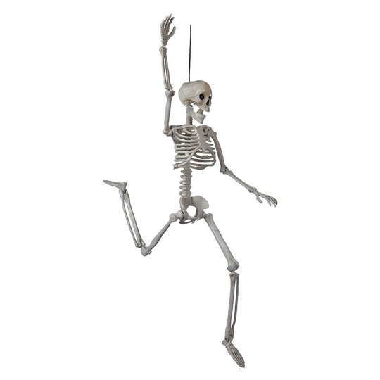 60cm Realistic Halloween Skeleton Full Body Skeleton Bones with Movable Joints for Halloween Party Decoration