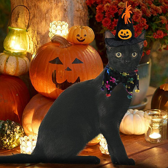 Christmas cat clothes,cat clothes,Halloween party decoration for pet cat cape hat dog collar chef halloween hat bib costume cute dog cat dress up