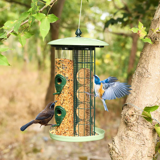 Herblain Tube Bird Feeder