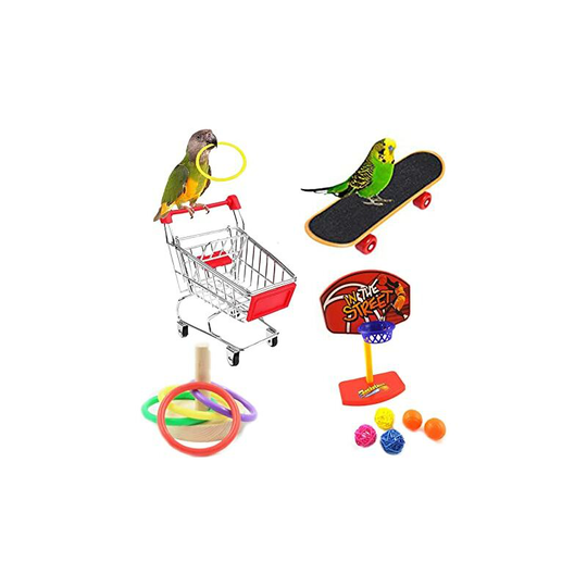 Four-piece bird educational toy parrot toy parrot skateboard cart ball ring educational training toy parrot bird toy budgie African gray parrot