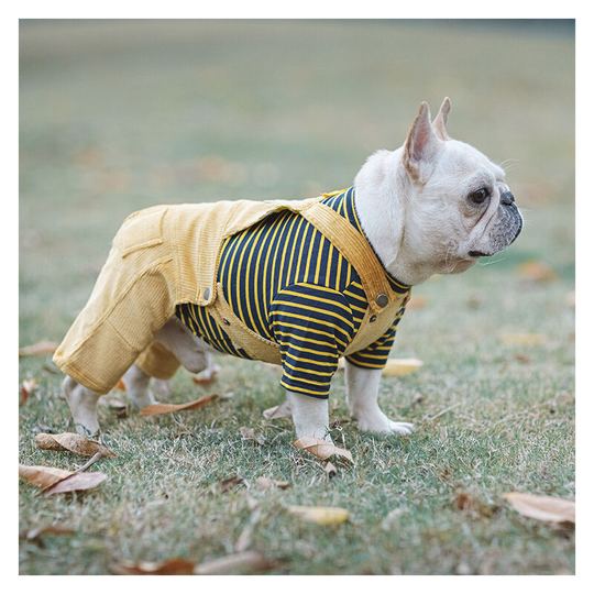 Summer dog clothes, dog khaki carrier pants for puppy girls and boys, soft puppy clothes for daily indoor and outdoor use. (M) M chest 40 back length