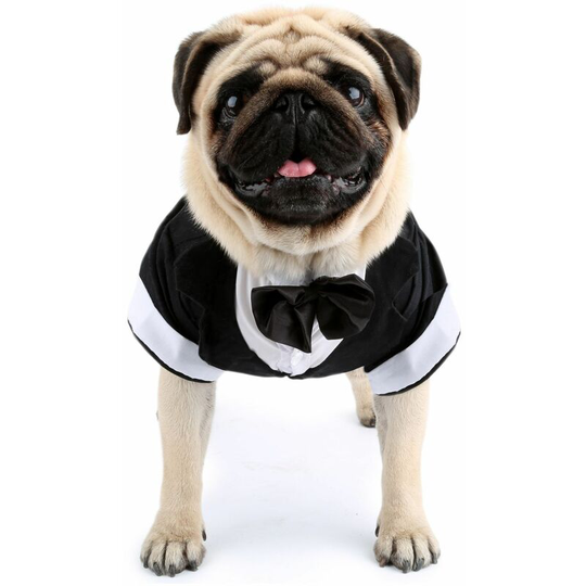 Benobby Kids - Pet Pharoah spring dress dog wedding dress boutique pet suit vest clothes cat gentleman suit m (chest 44', neck 32', back 35',