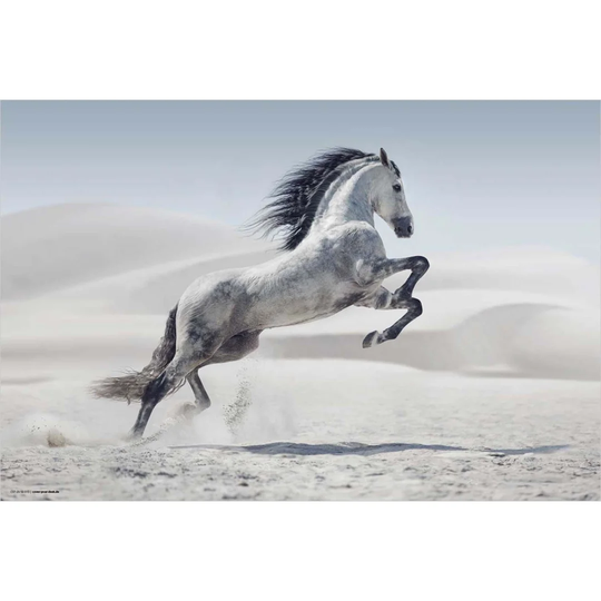 Horse Desk Pad