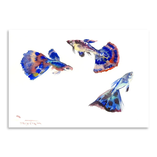 Guppy Aquarium by Suren Nersisyan Art Print