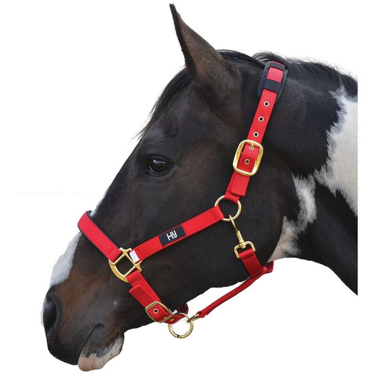 Hy Deluxe Padded Head Collar (Pony) (Red) - Red