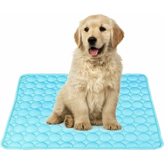 Cat Cooling Mat Small Dog 60x50cm Pet Cooling Mat, ideal for dogs and cats to stay cool this summer