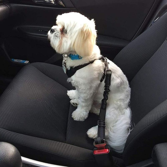 Dog car safety harness, 【2pcs】. Universal dog car harness, adjustable durable ripstop dog safety belt for all dogs and cats, black nylon