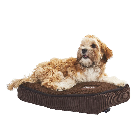 Arlot Pillow/Classic in Brown