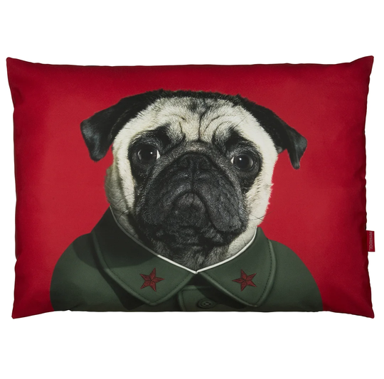 China - Pets Rock - Luxury Dog Bed