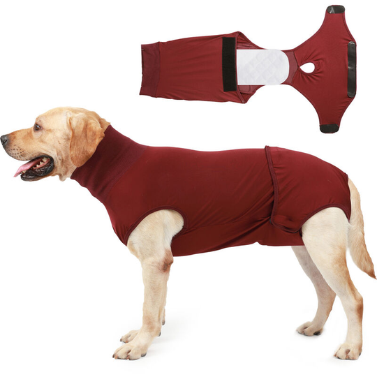Dog Recovery Suit with 2 pcs Nappies Diaper Surgery Recovery Shirt for Female Male Dog,Burgundy,Medium - Burgundy,Medium