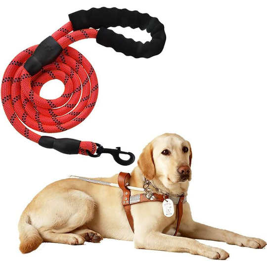 Soekavia - High Quality Black Reflective 150cm Solid Adjustable Nylon Dog Leash for Large or Medium Dogs Suitable for Running Jogging Hiking (Red)