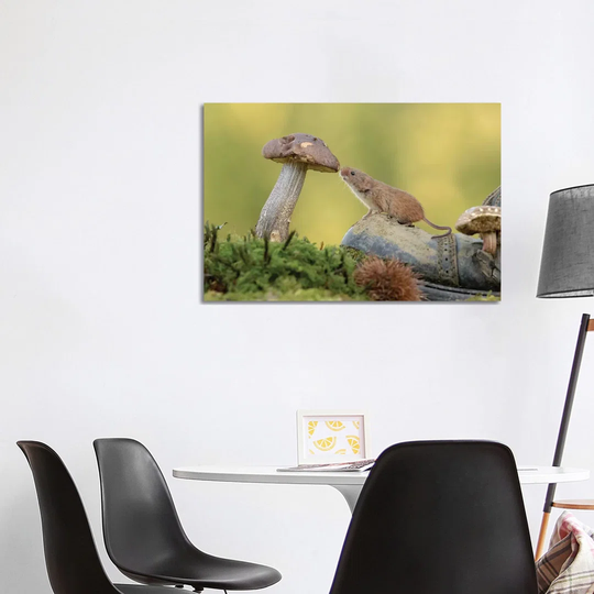 Inquisitive Mouse by Dean Mason - Photograph Print on Canvas
