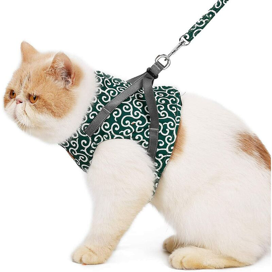 Modou - Cat Harness and Leash Set Kitten Adjustable Harness Leash Collar Cat Vest Harness Outdoor Walking Harness for Small Dogs