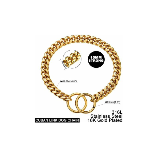 Gold Dog Chain Collar 10MM Choke Collar Stainless Steel Metal Collars Silp Choker Chain for Small Medium Large Dogs (10 to 24in)