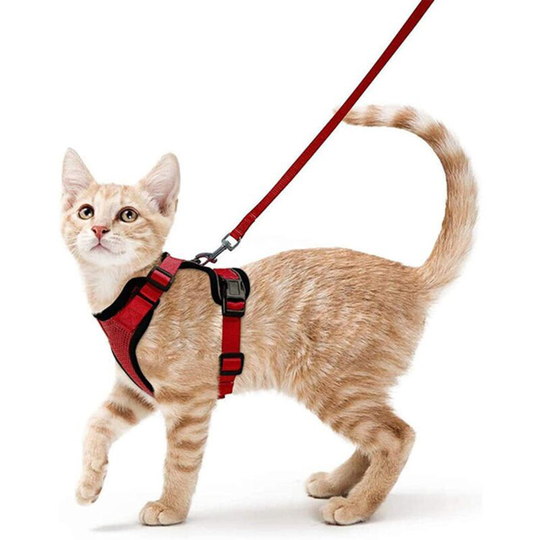 Perle Rare - Cat Harness Small Dog Leash Adjustable Kitten Harness Red xs Reflective Cat Harness Collar Breathable Vest for Rabbit, European Cat,