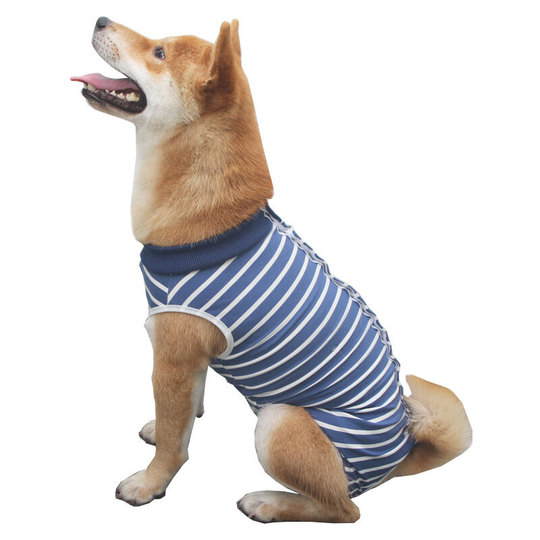 Post-op Dog Bodysuit Female Spay Dog Bodysuit Male Neuter Dog Bodysuit Medical Bodysuit Dog Costumes Alternatives to dog collars
