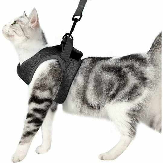 Cat Harness and Leash Ultra-light Kitten Collar Soft and Comfortable Running Cat Walking Jacket, Waterproof, Suitable for Puppies and Rabbits (Grey,L
