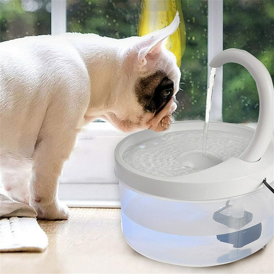 Drinking Fountain for Pet With Filter Cat Fountain Filter With LED Light Pet Automatic Water Dispenser Quiet Pet Water Fountain
