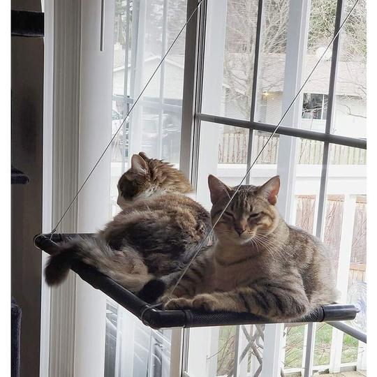 Perle Rare - Window cat hammock, For large cats up to 25 kg, Sun lounger, Pet bed, For large windows, Suitable for windows with a length ≥ 74 cm and