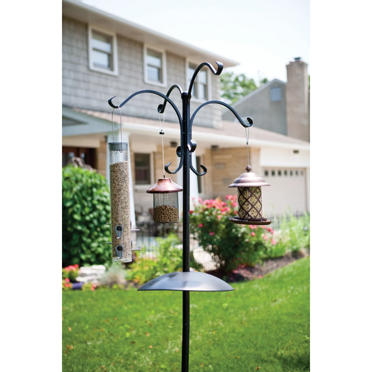 Deluxe Bird Feeding Station in Black