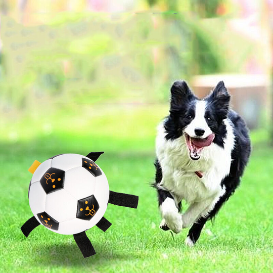 Dog toy, interactive dog ball with gripper