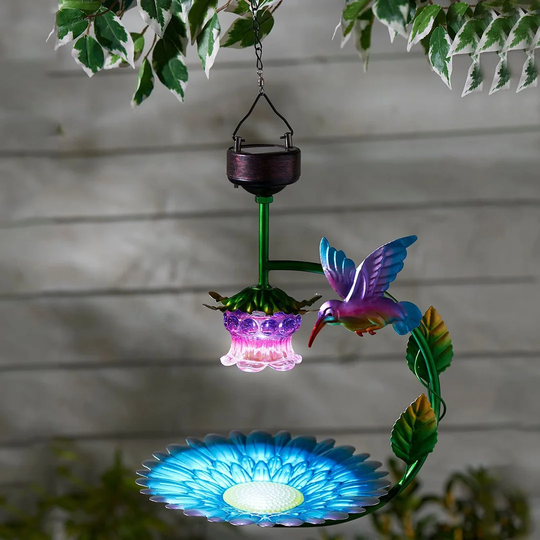 Dermott Feeding Station