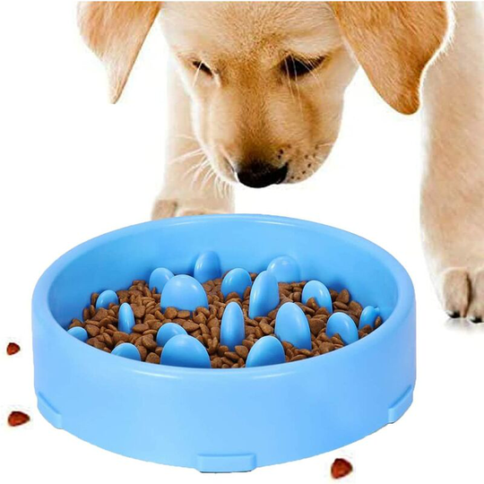 Slow Feeding Dog Bowl, Slow Feeding Anti-Slip Design Fun Interactive Feed Cats and Dogs Bowl, Promotes Healthy Feeding and Slow Digestion (Blue)