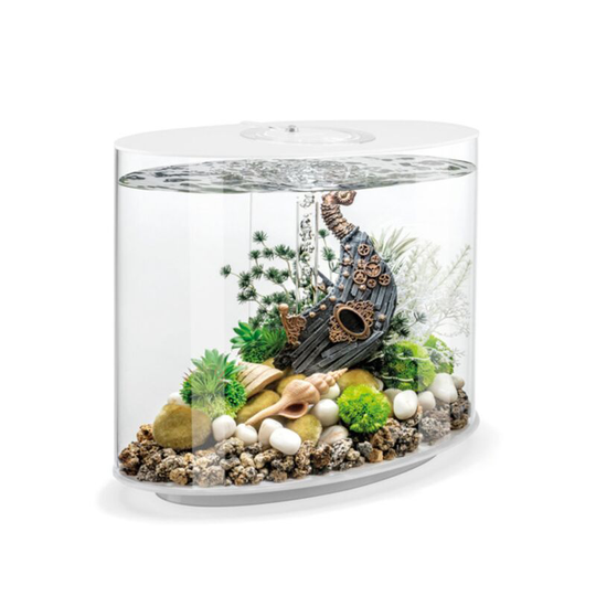 Biorb - Loop 30L Fish Aquarium mcr Lighting led White