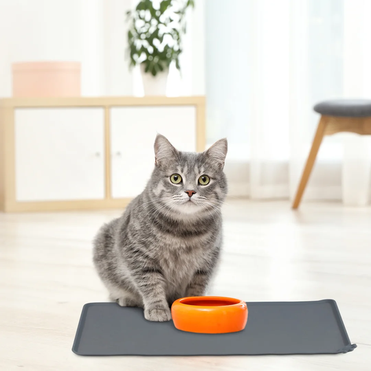 Hodge Bowl Mat