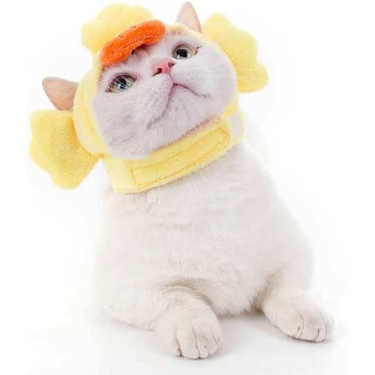 Cat headwear, pet headwear, pet hat, animal headwear, costume hat, decorative cat hat, breathable and comfortable(M)