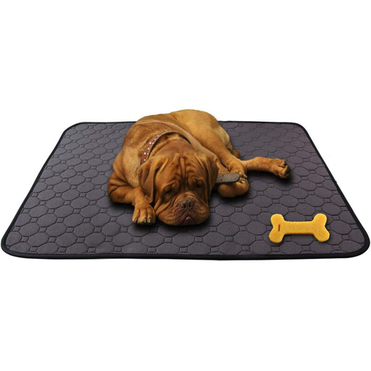 Readcly - meriem Washable Dog Trainer Mat, 2 Pcs 100*70 Dog Cushion, Absorbent Dog Mat Leak-Proof and Non-Slip, Reusable Dog Pee Mat