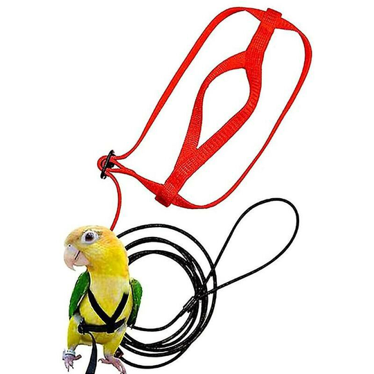 Father's Day Thsinde Parrot Bird Harness Leash Outdoor Flying Traction Straps Band Adjustable Anti-Bite Training Rope Blue
