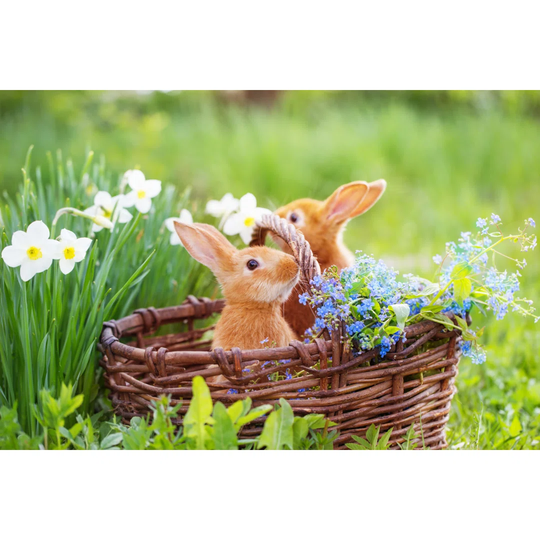 Red Rabbits Outdoor - Wrapped Canvas Photograph